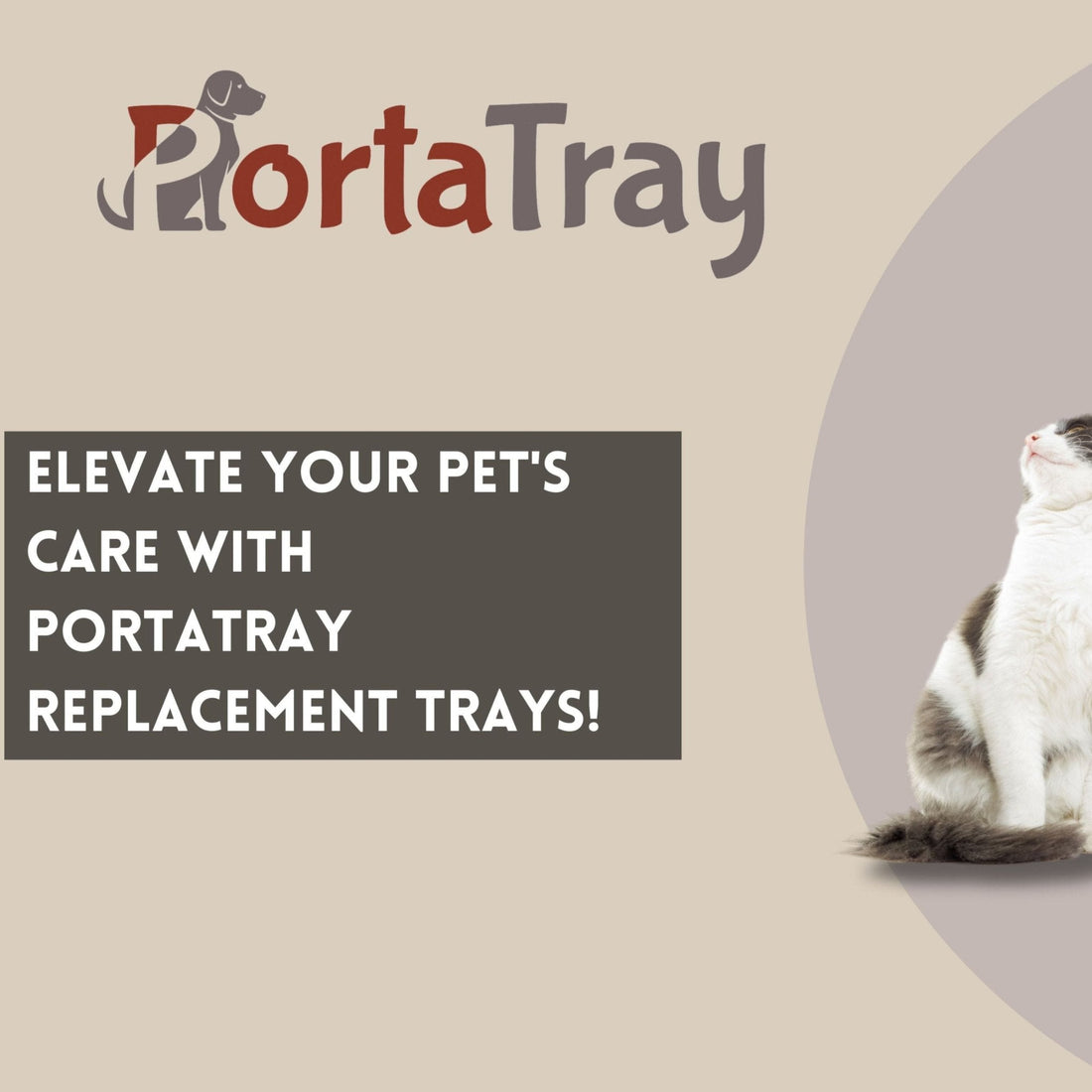 5 Powerful Reasons Our Dog Crate Replacement Tray Wins Every Time